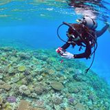 沖縄ダイビングの研修制度の求人ではお金がかからない生活が可能？