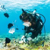 未経験歓迎｜沖縄ワーキングスタディ完全ガイド