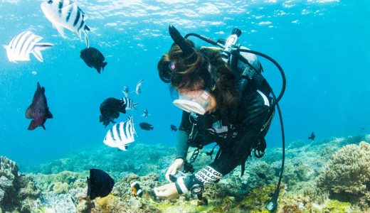 未経験歓迎｜沖縄ワーキングスタディ完全ガイド